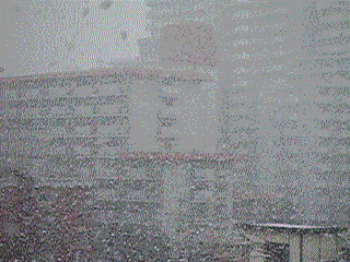 雪の舞う神戸