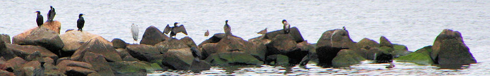 気ままなる儘に